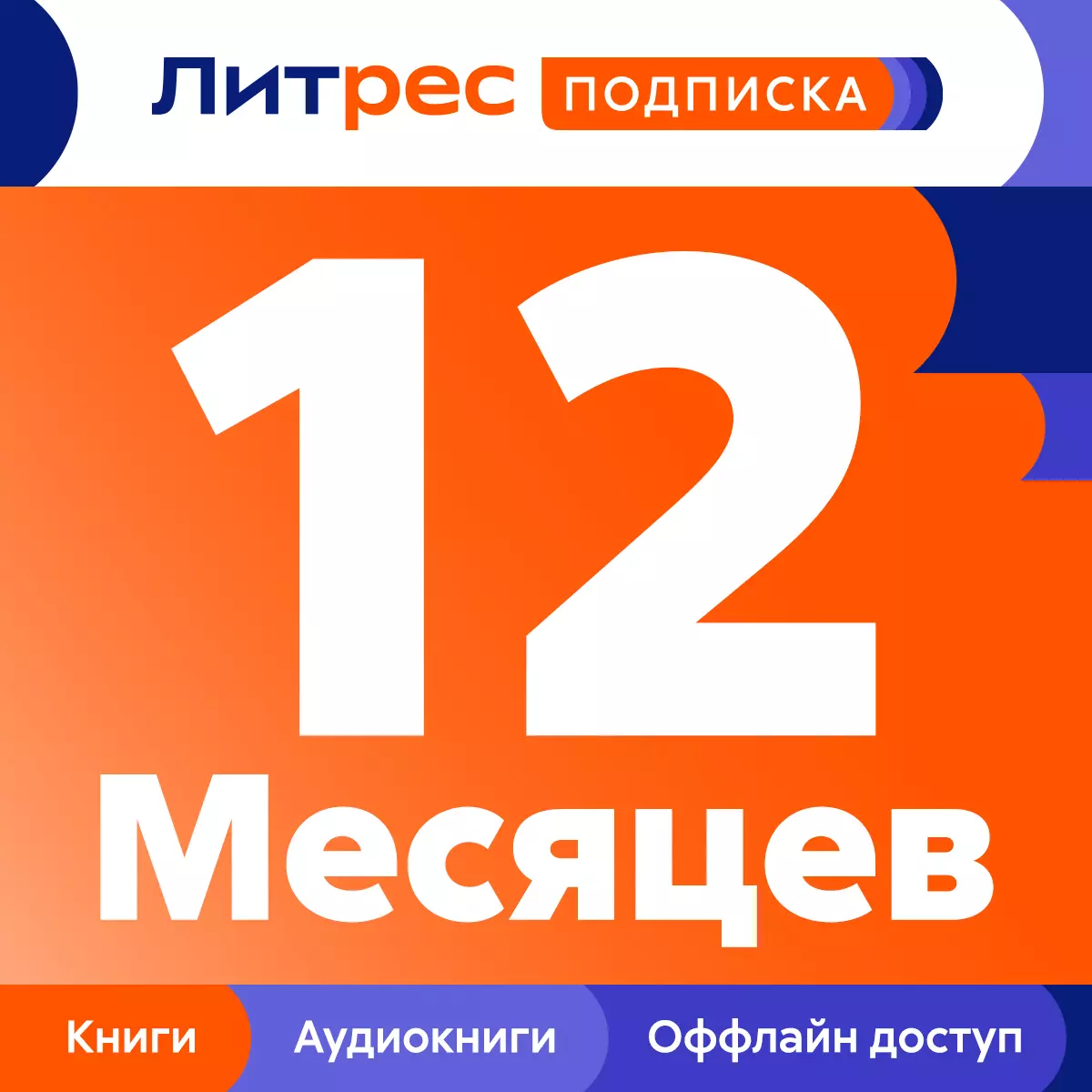 Подписка Литрес на 12 месяцев