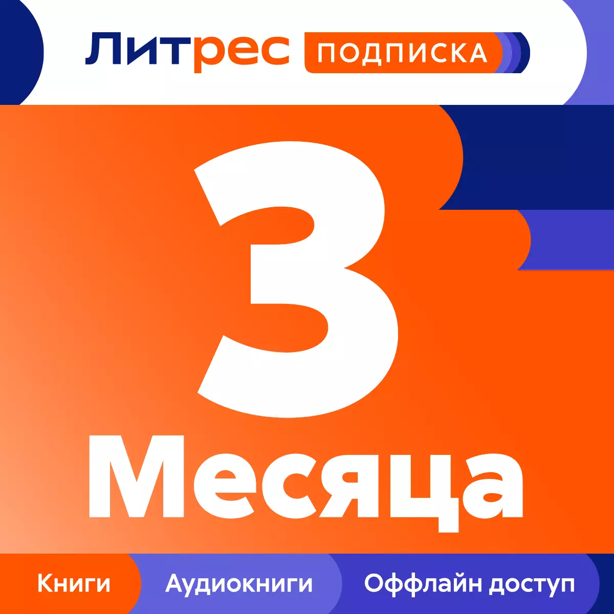 Подписка Литрес на 3 месяца