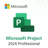 Project профессиональный 2024