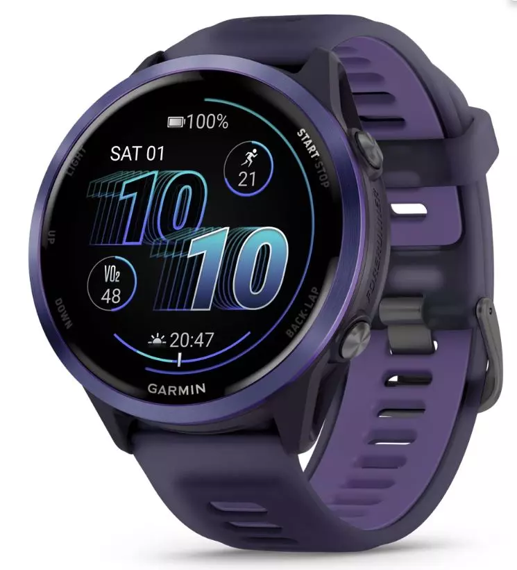 Спортивные часы Garmin Forerunner 570, Фиолетовые, 47 мм (010-02971-02)