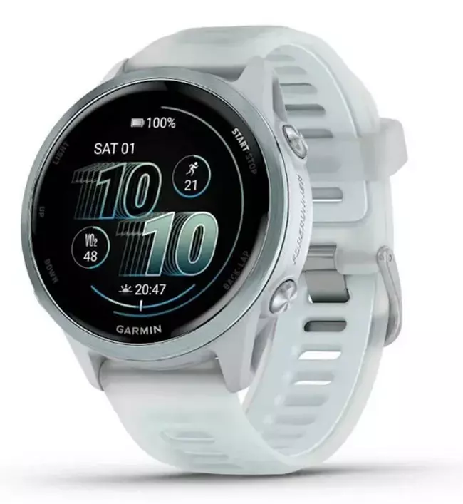 Спортивные часы Garmin Forerunner 570, Облачно белые, 42 мм (010-02970-01)