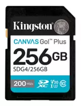 Карта памяти SD 256GB Class 10 U3 Kingston SDG4/256GB