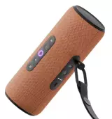 Портативная умная колонка Яндекс Станция Стрит с Алисой, 30 Вт, Оранжевый