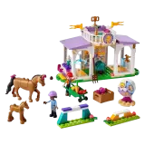 Конструктор LEGO Friends Тренировка лошади