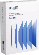 SkyDNS Бизнес. 20 лицензий на 1 год