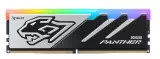 Модуль памяти Apacer Panther RGB AH5U32G52C5229BAA-1 DDR5 32GB
