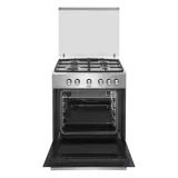 Газовая плита Hansa FCGX63123